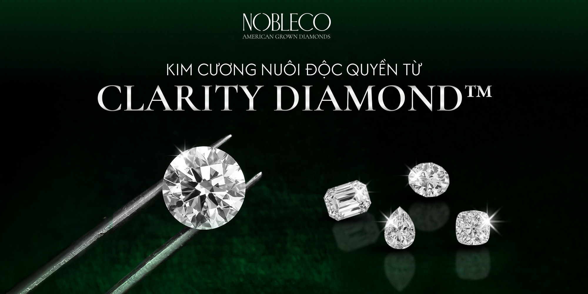 Kim cương cao cấp - Dụng cụ chế tác kim cương